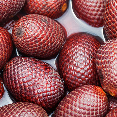 Mauritia Fruit Oil